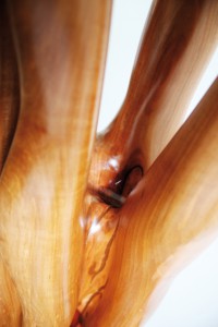 AH Skulptur neu A Det 10_72dpi RGB_2220